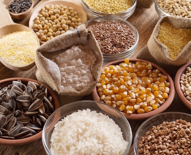 Trade & Export of Commodities